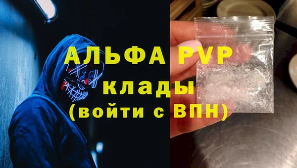 дмт Краснослободск