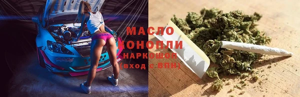 дмт Краснослободск