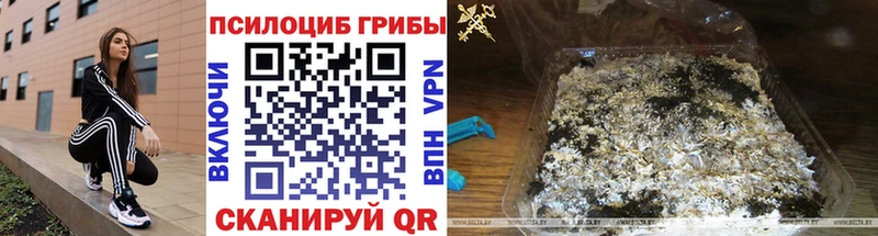 Псилоцибиновые грибы GOLDEN TEACHER  Фрязино 