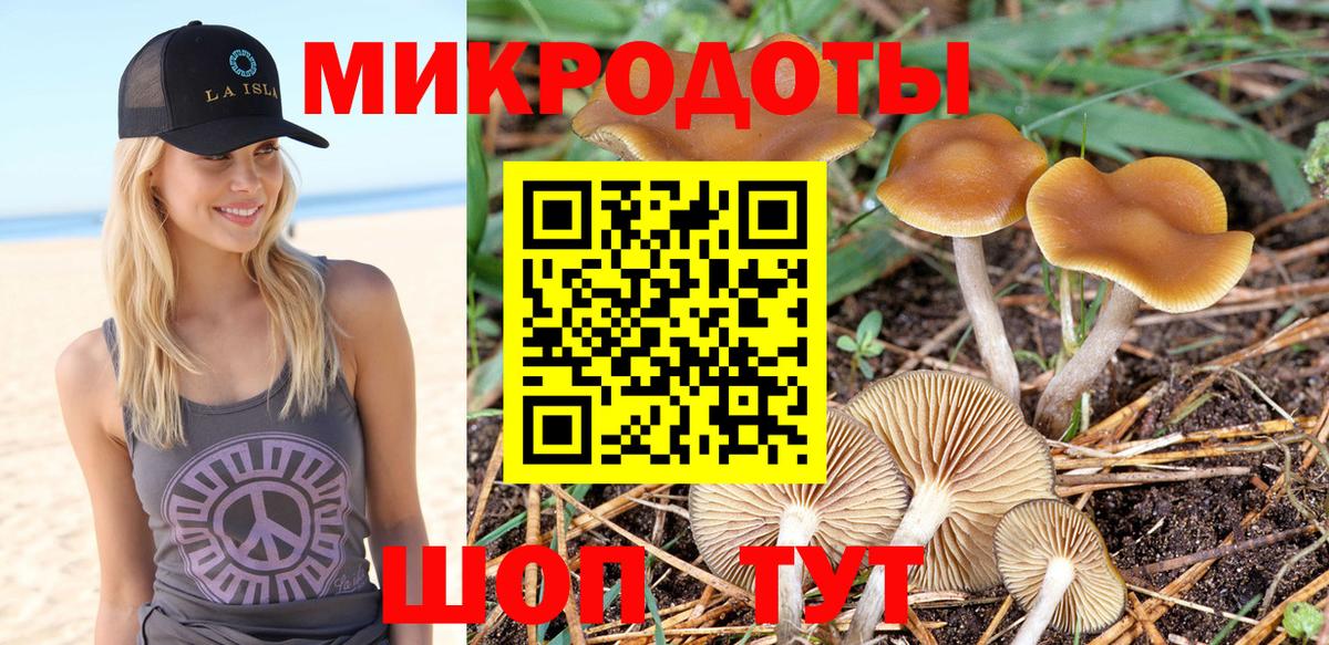Псилоцибиновые грибы Magic Shrooms  Псилоцибиновые грибы MAGIC MUSHROOMS  Вход с VPN  продажа наркотиков  Фрязино 